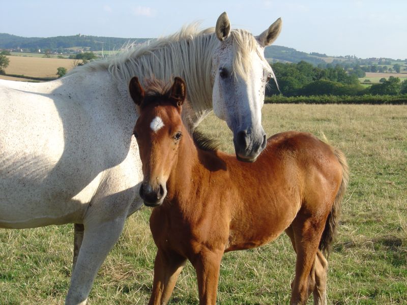 Photo : Blandine Gausset